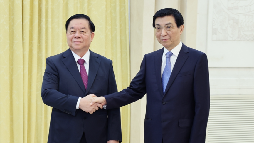 China's top political advisor meets CPV delegation