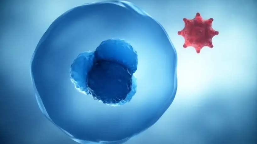 Cell Hope Cell therapy offers hope for autoimmune diseases