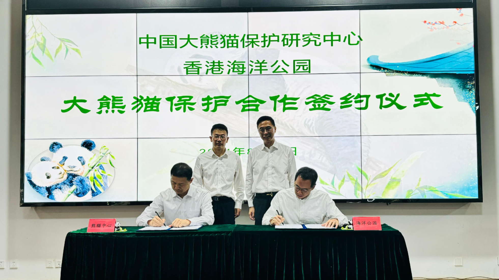 Arrangements with mainland firmed up to bring pandas to HK