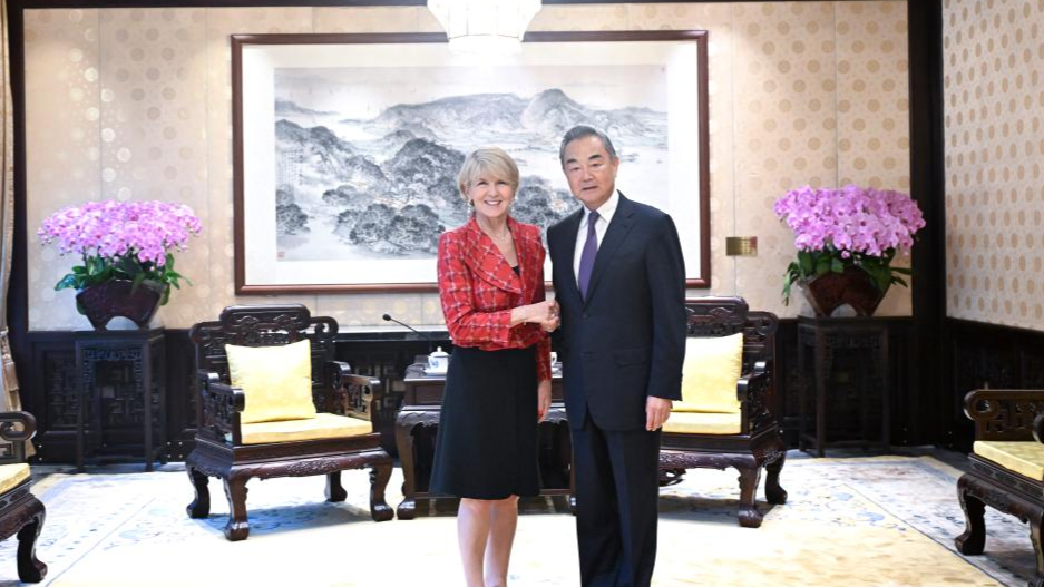 Chinese foreign minister meets UN special envoy for Myanmar