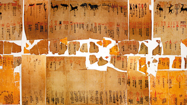 チベットタイマイ（1オス、中国/四川省） Ancient 'mini library' unearthed