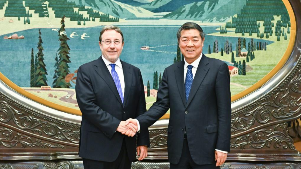 Chinese vice-premier calls for enhanced cooperation with UNDP