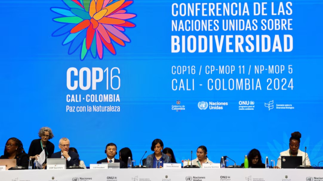 Stalled UN nature talks to resume in Rome for three-day sprint