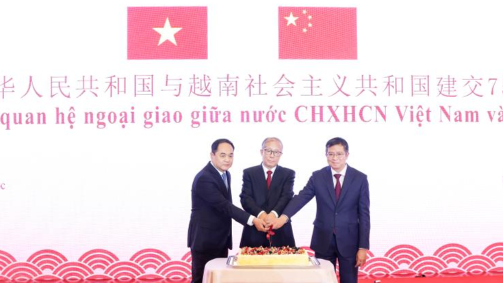 China, Vietnam pledge to promote bilateral ties