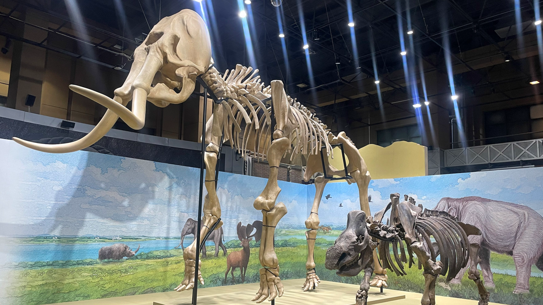 Nihawan Museum unveils million-year legacy of Nihewan