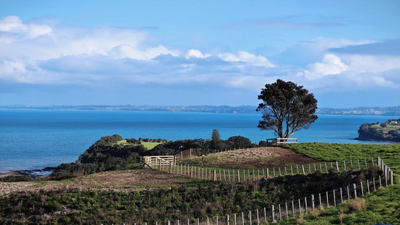 Boost for NZ tourism as Chinese visitors gain visa-free entry from