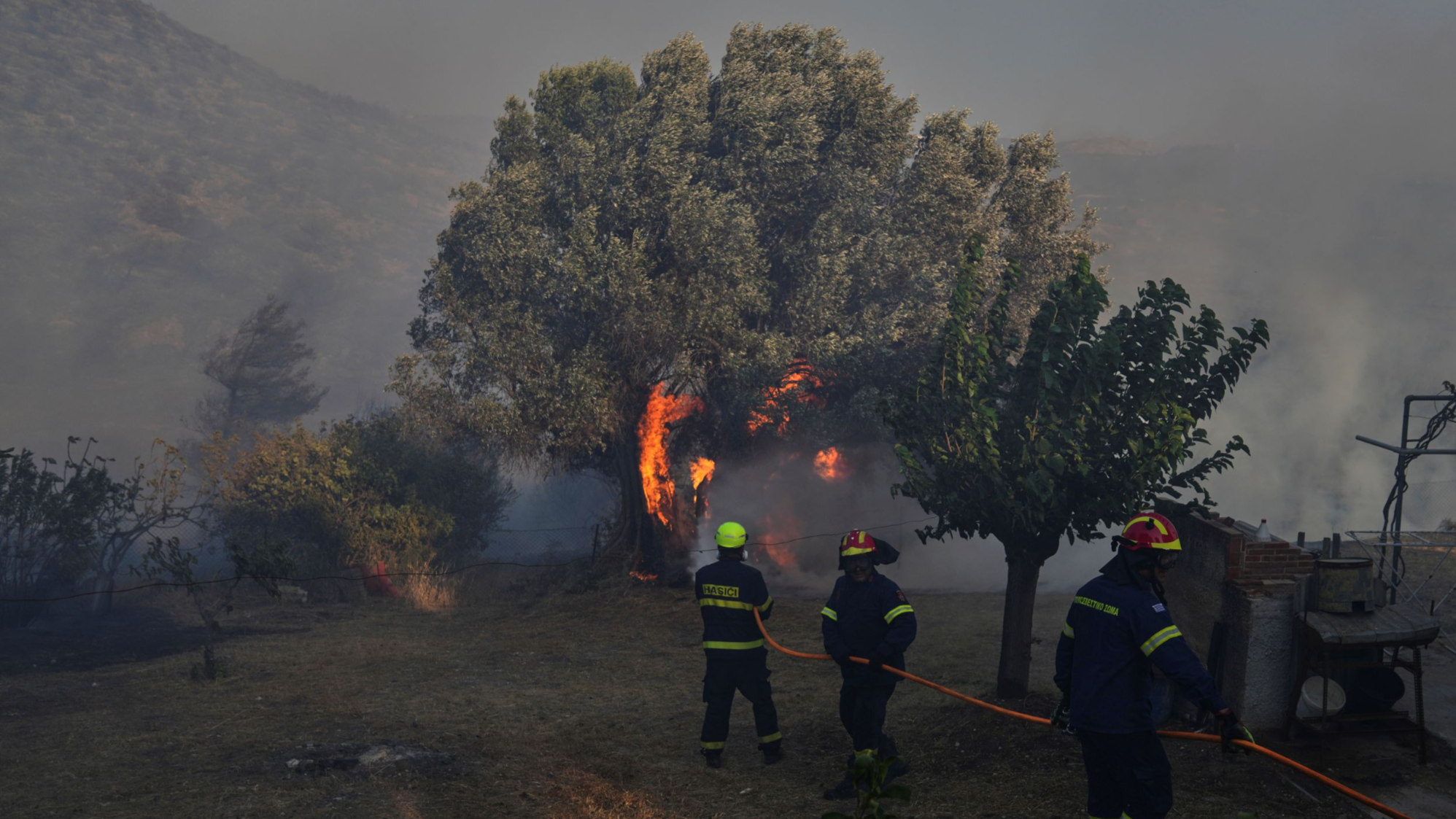 24a8841d575db3826dd732a7cf1e98