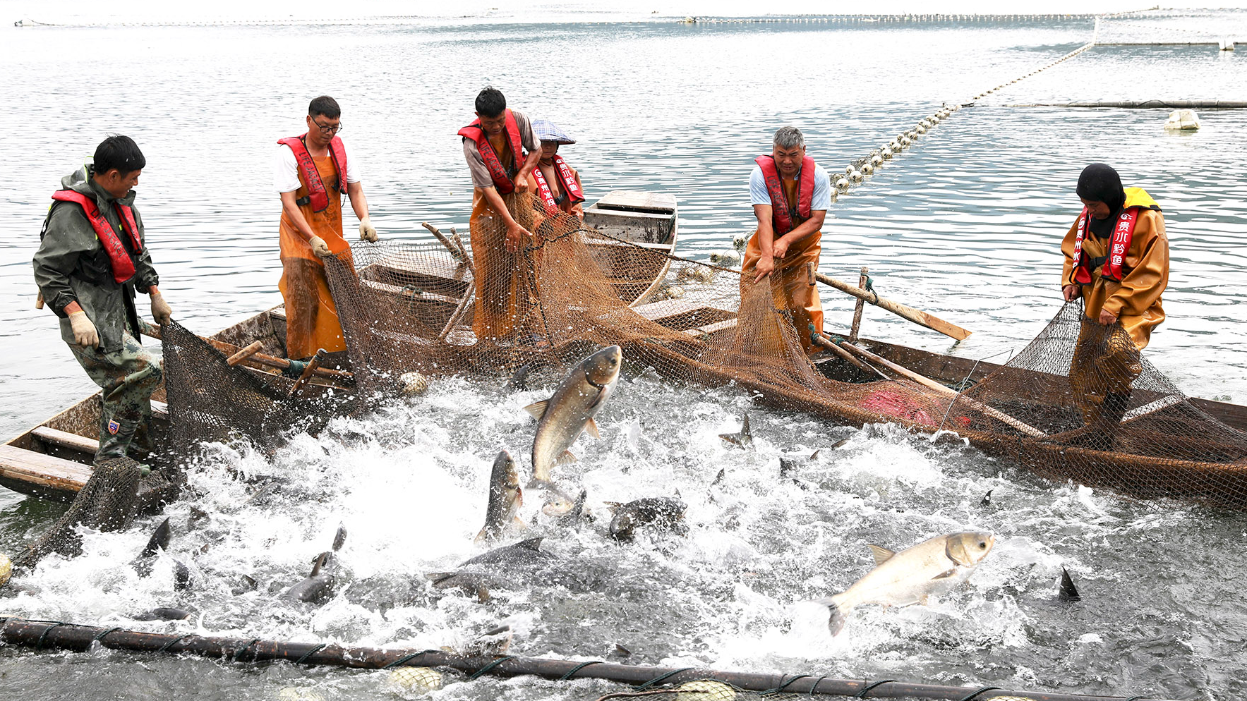 Wild Fish Capture Catching every last drop