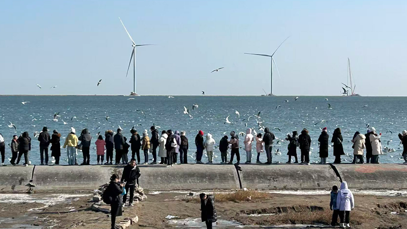 天津がグリーン電力取引の拠点に