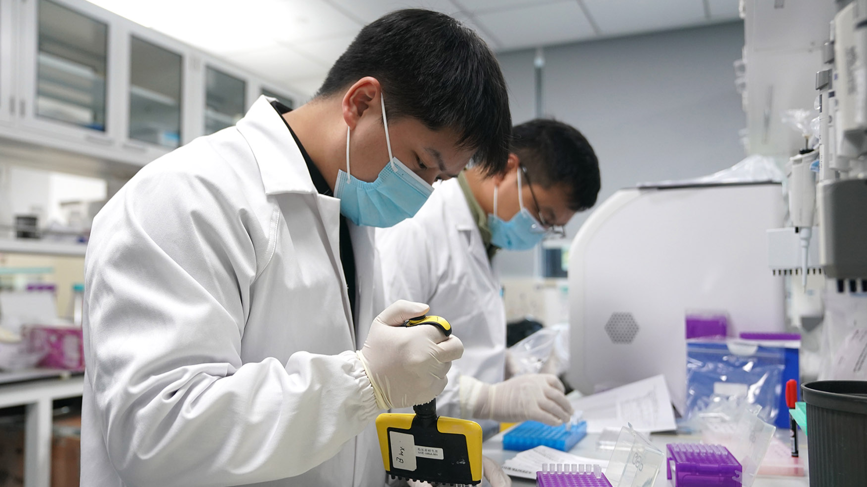 Chinese researchers create new transplantation therapy for major diseases